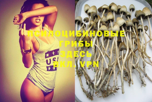 МДМА Алексеевка