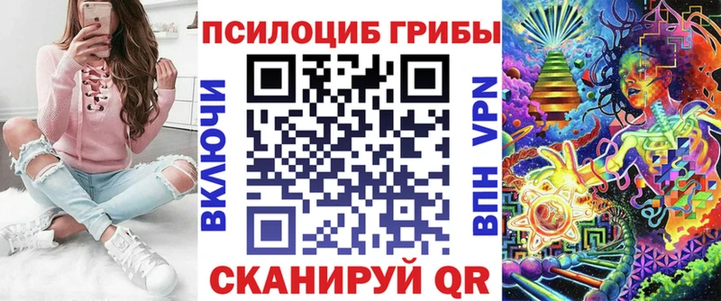 закладка  Клин  Псилоцибиновые грибы GOLDEN TEACHER 