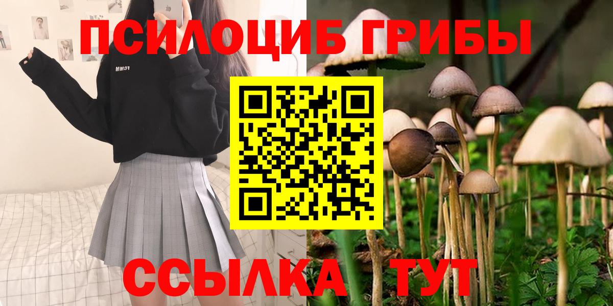 Псилоцибиновые грибы ЛСД  Вход с VPN  где продают   Клин 