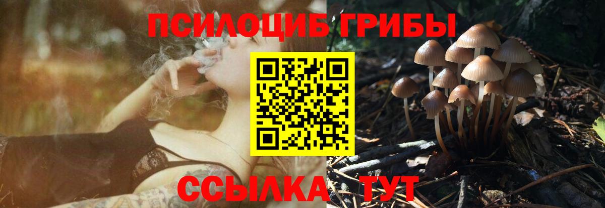 Псилоцибиновые грибы GOLDEN TEACHER Клин